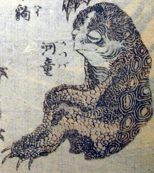 560px-Hokusai_kappa.jpg